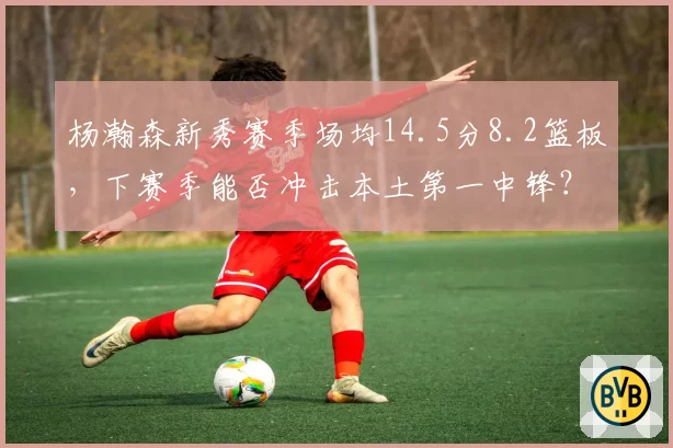 杨瀚森新秀赛季场均14.5分8.2篮板，下赛季能否冲击本土第一中锋？
