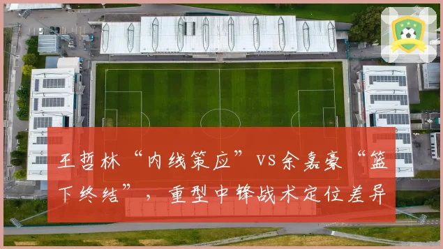 王哲林“内线策应”vs余嘉豪“篮下终结”，重型中锋战术定位差异