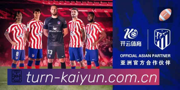 安全使用与支持流程